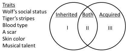 A student is given a list of traits and is asked to organize them in a Venn diagram as shown below.