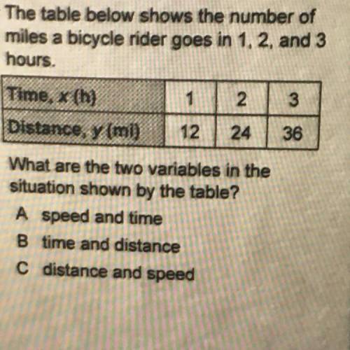 Can someone solve this pls???