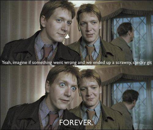 Show me some funny Fred and George Weasley memes. Best meme gets brainliest
