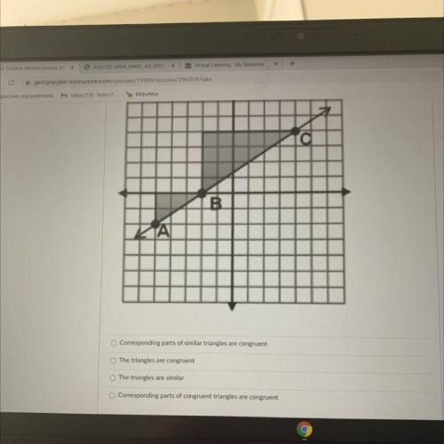 The coordinate plane shows two right triangles that have hypotenuses on the same

line. Which of t