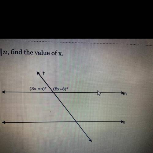Help find the value of x pls