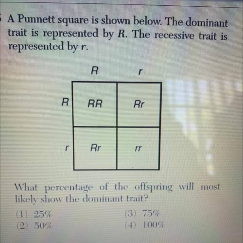 5 A Punnett square is shown below. The domin

trait is represented by R. The recessive trait is
re