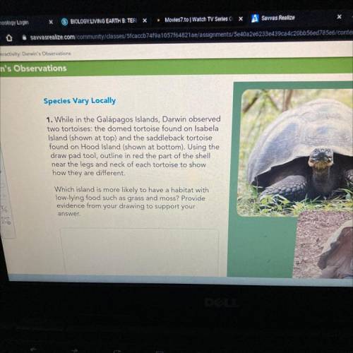 1. While in the Galápagos Islands, Darwin observed

two tortoises: the domed tortoise found on Isa