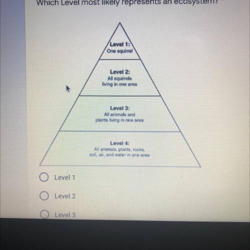 Which Level most likely represents an ecosystem?
W