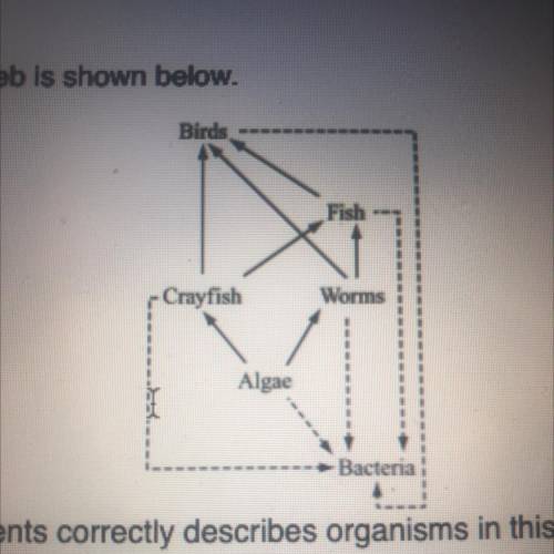 Which of the following statements correctly describes organisms in this food web?