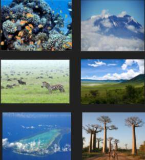 WONDER-Pick one of the Wonders of the Natural World and describe its significance to Africa.