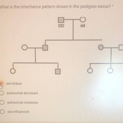 3. What is the inheritance pattern shown in the pedigree below?

1 point
O:
DD
dd
O
O
d
sex-linke