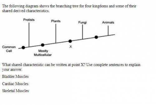 BRAILIEST

PLEASE HELP
EASY SCI./HEALTH
The following diagram shows the branching tree for four ki