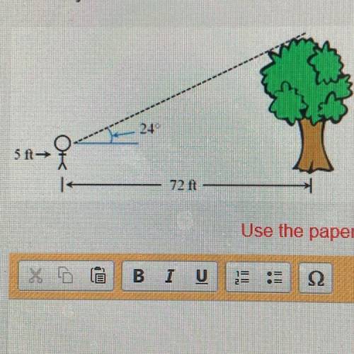 Solve for the height of the tree.