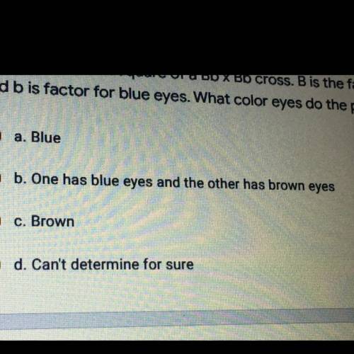 Use a Punnett Square of a Bb x Bb cross. B is the factor for brown eyes and bis factor for blue eye