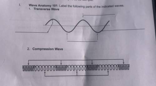 Wave Anatomy 101: Label the following parts of the indicated waves.
1. Transverse Wave