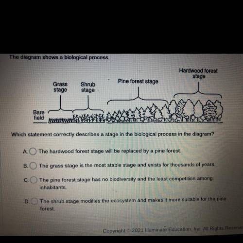 Please help

Which statement correctly describes stage in the biological process in the diagram￼?