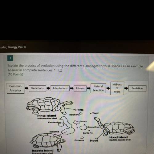 The process of evolution using the different Galapagos tortoise