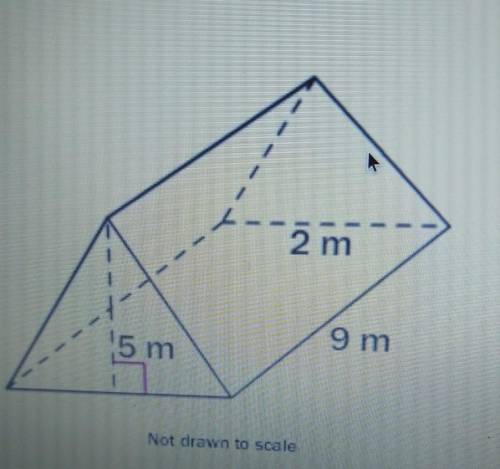 Find the volume of the triangular prism. 1.)90 m3  2.)9 m3 3.)5 m3 4.) 45 m3​