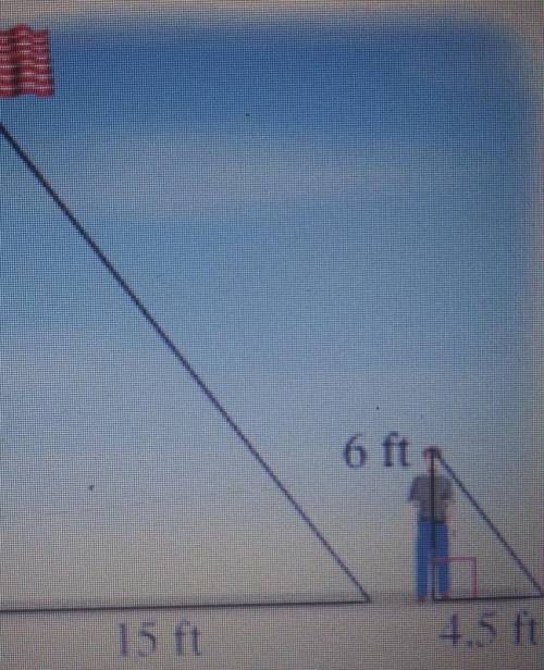 How tall is the flag pole?​