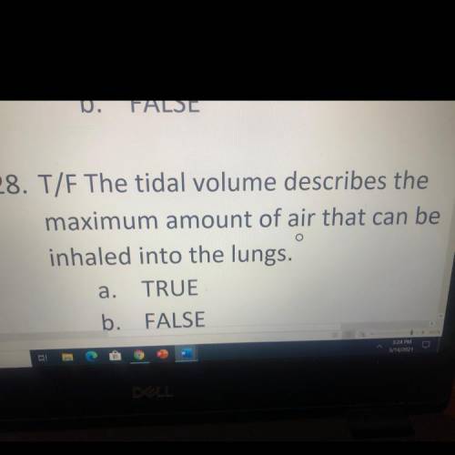 28. T/F The tidal volume describes the

maximum amount of air that can be
inhaled into the lungs.