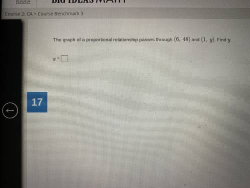 I really need help please. The graph of a proportional relationship passed through (6,48) and (1,y)