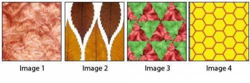 Which images are tessellations?

Image 1 and 4
Image 3 and 2
Image 1 only
Image 3 and 4