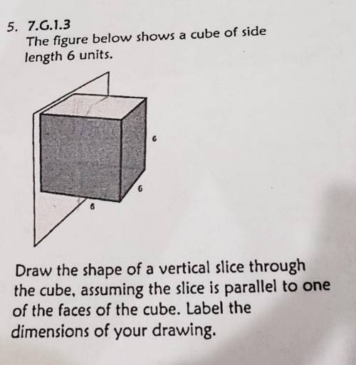 7.G.1.3 The figure below shows a cube of side length 6 units. 6 Draw the shape of a vertical slice