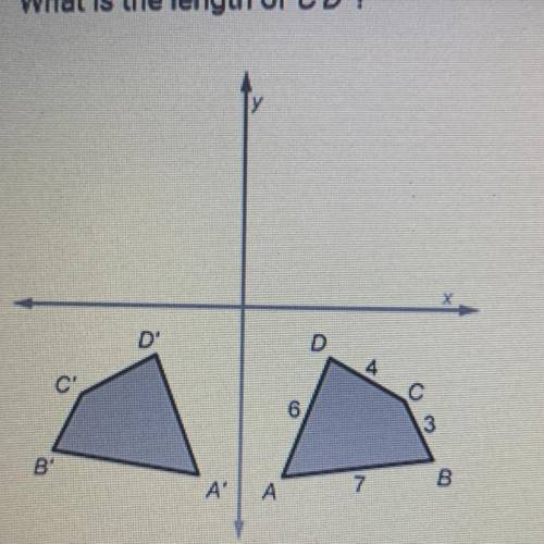 Quadrilateral A'B'C'D'is a reflection of quadrilateral ABCD over the y-axis.

What is the length o