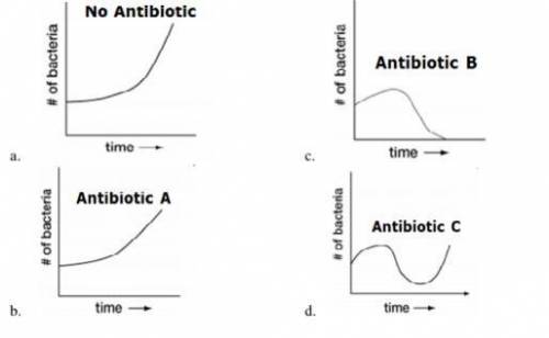 You are trying to determine the effectiveness of different antibiotics in killing diseases-causing
