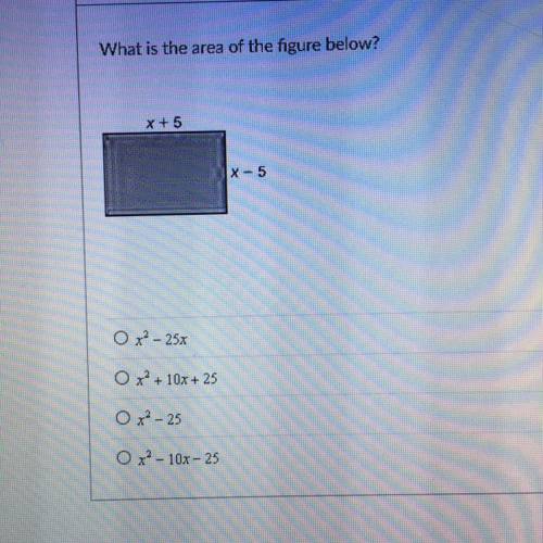 Can someone help me with this question pls?