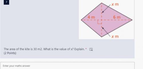 The area of the kite is 30 m2. What is the value of x? Explain
