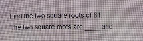 Find trh two square roots of 81