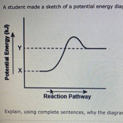 3. (07.01 MC)

A student made a sketch of a potential energy diagram to represent an exothermic re