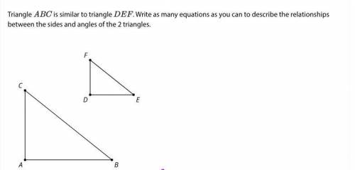 PLEASE HELP!!! Triangle ABC is similar to triangle DEF . Write as many equations as you can to desc