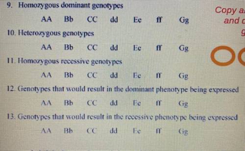 Can someone help me please this is due today I asked 3 times (monohybrid crosses)