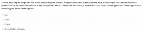 Flower inheritance, Answer Image.
Choose 1 of the 4 options in the image