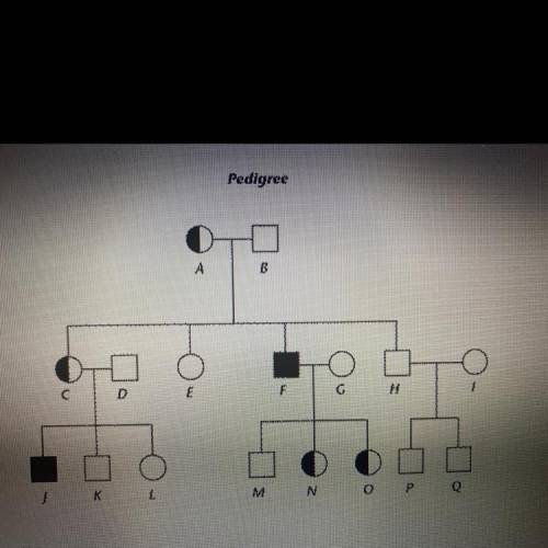 2

The pedigree shows the pattern of inheritance for a sex-linked trait. If
couple C-D have anothe