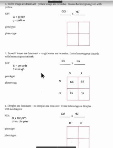 if you fill out ALL the punnett squares CORRECTLY, then i will give u brainliest, but please help m