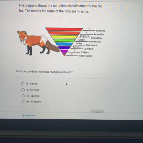 HELP PLEASE IM BEGGING

The diagram shows the complete classification for the red
fox. The names f
