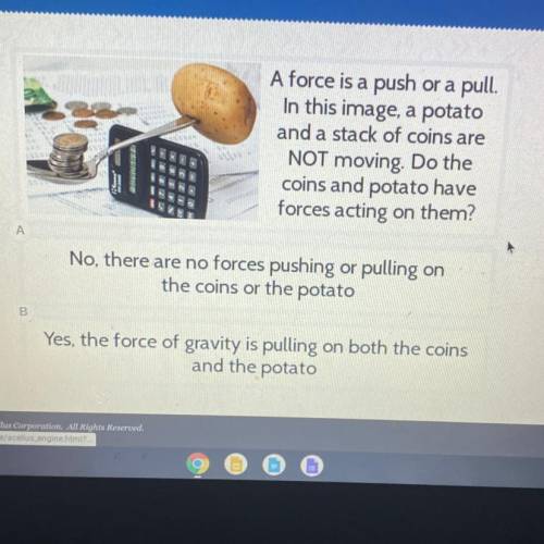 A force is a push or a pull.

In this image, a potato
and a stack of coins are
NOT moving. Do the