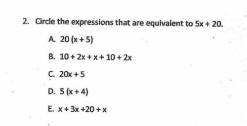 Needs to be answered fast (algebra)