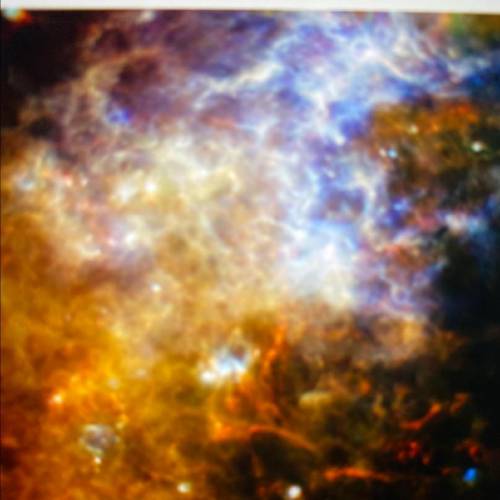 HELP ME PLEASE

What object is shown in this image?
a nebula
a red giant
a supernova
a neutron sta