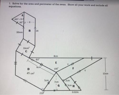 Solve the area and the perimeter of the swan. Show all your work and include all equations. Please