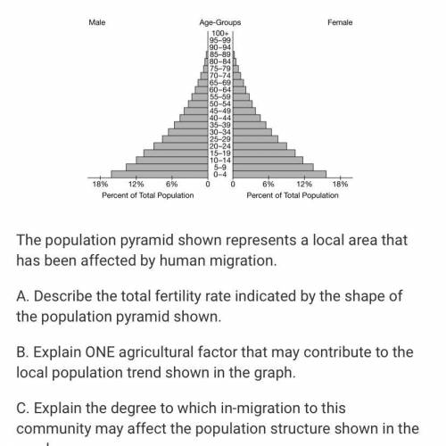 Describe the total fertility rate indicated by the shape of the population pyramid shown.

Explain