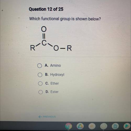 Which functional group is shown below?

cd
R
O-R
A. Amino
B. Hydroxy!
C. Ether
D. Ester