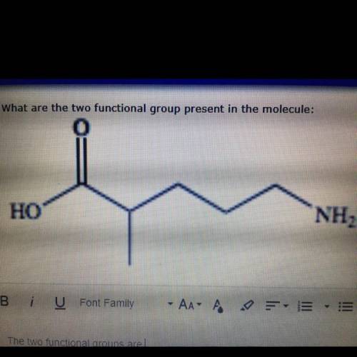 What are the two functional group present in the molecule?