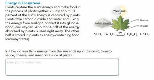 PLEASE HELP!

Energy in Ecosystems 
Plants capture the sun's energy and make food in the process o