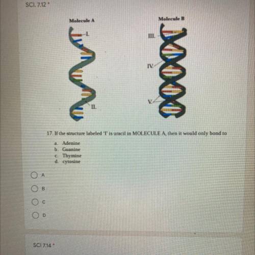 Please help this is a 7th grade science problem