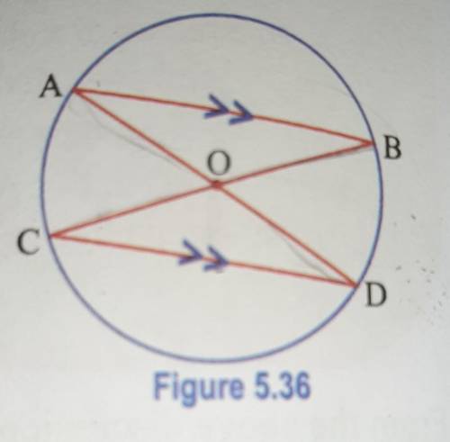 What is the radius of the circle?

what is the diameter?what are the chords?what are the parallel
