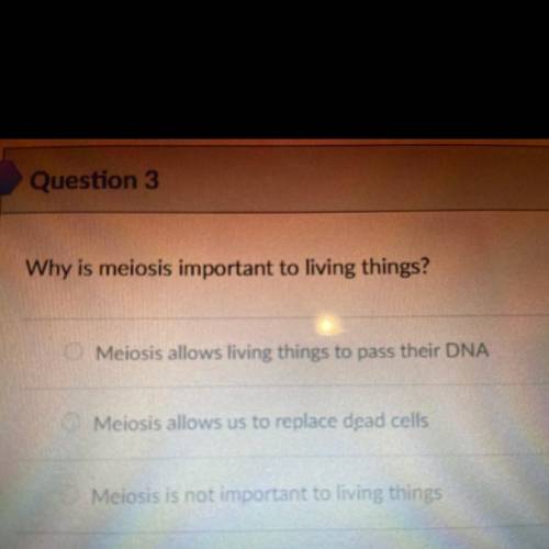 Why is meiosis important to living things? 
Which one? (First, second or third option?)