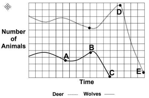 1. What could have happened to Wolf population on the point B?

Question 1 options:
There was larg