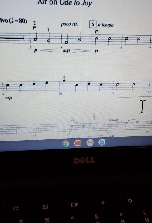 Hi. what are these notes for these for a viola for 9-12?