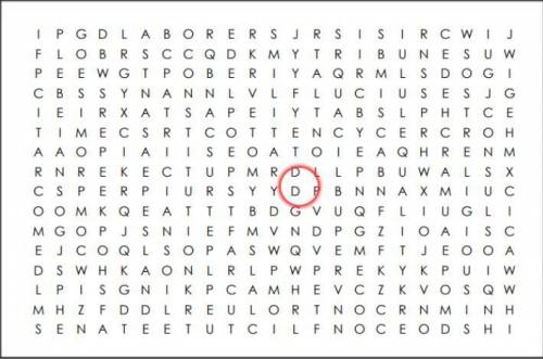 What are all the words you see in the word search?