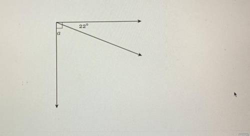 Find the measure of the missing angle.